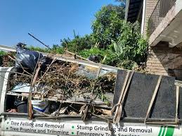 Best Attic Cleanout  in Anchorage, AK